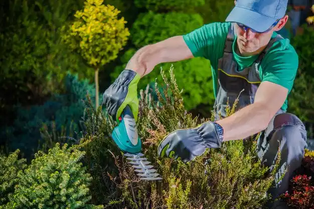 landscaping services Concorde Hills